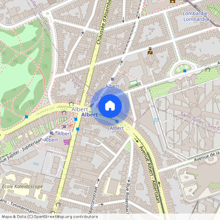 Avenue Albert, 12, 1190, Forest