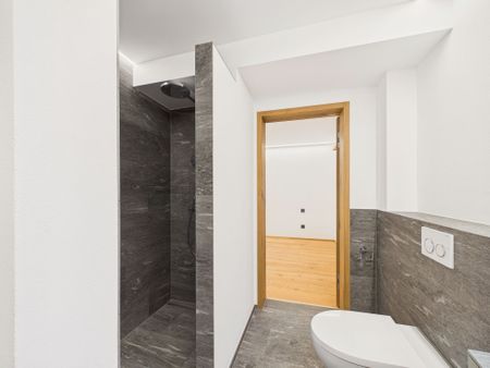 Newly renovated 2.5-room apartment in Degen - Photo 4