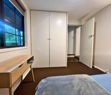 Frenchs Forest - Photo 4