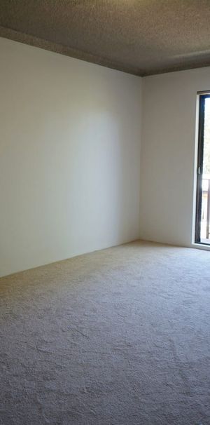 Sunny Two Bedroom Unit with walking distance to Macquarie Center, station & university - Photo 1