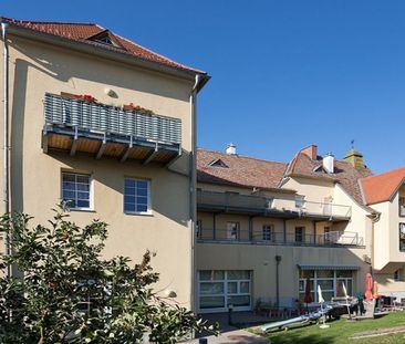 EGGENBURG XI - Photo 4
