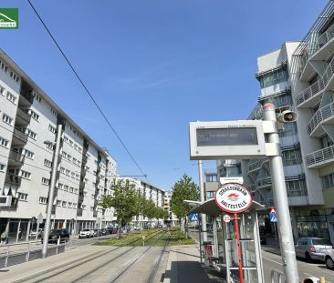 All-inclusive Wohnungen beim Kirschblütenpark – nahe U1 Kagran! War... - Photo 4