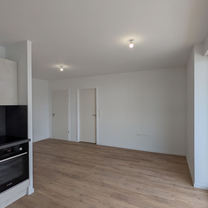 Location Appartement 2 pièces 43m² MITTELHAUSBERGEN 67206 - Photo 1