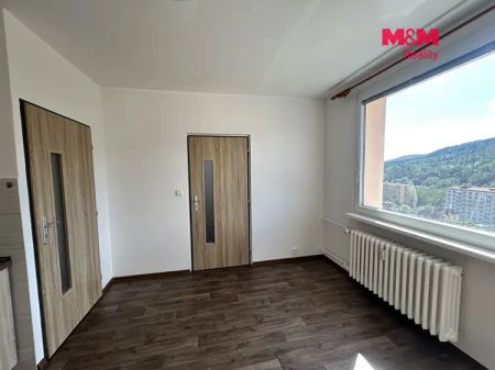 Pronájem, byt 1+1, Děčín, ul. Nálepkova - Photo 4