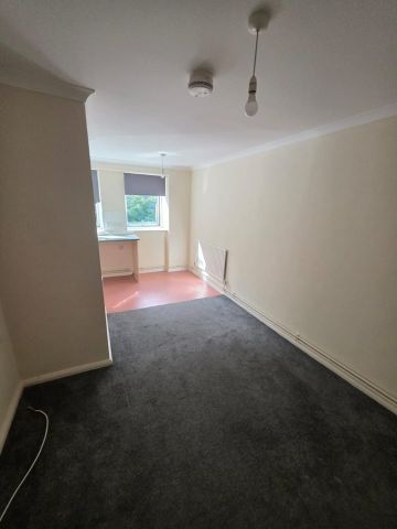 1 Bed Flat, Tyrell Court, SO18 - Photo 4