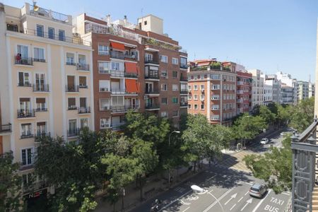 Calle de Narváez, Madrid, Community of Madrid 28009 - Photo 4