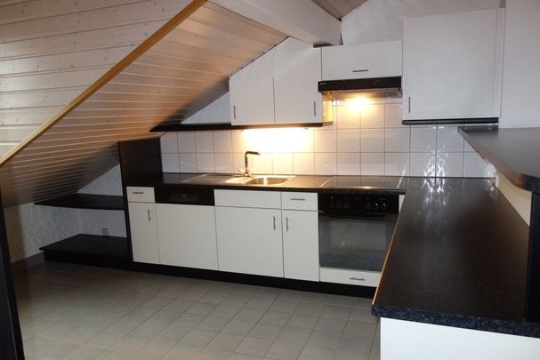 Eaux-Vives : spacieux appartement en attique - Photo 1