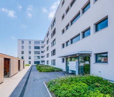 Lichtdurchflutete Attika-Wohnung die kaum Wünsche offen lässt - Photo 6