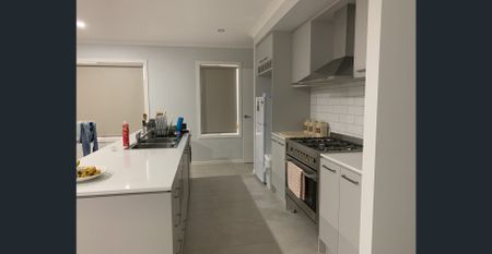 Larger than average - Photo 4