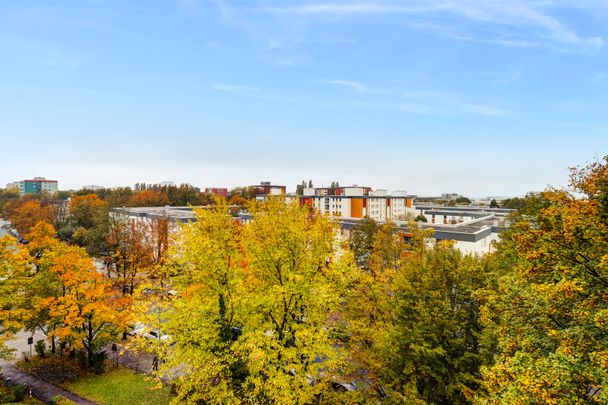 Zur Miete: Ruhige Wohnung mit schönem Blick - Foto 1