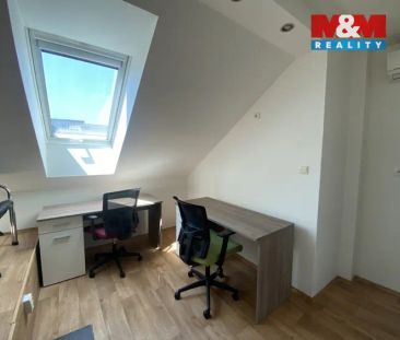 Pronájem lůžka ve sdíleném pokoji, Olomouc - Photo 6