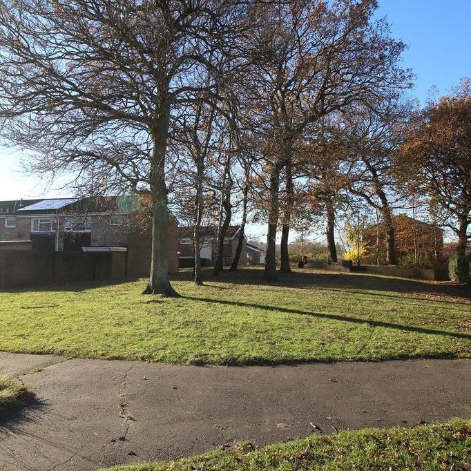 3 bedroom house to rent - Photo 1