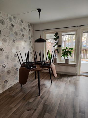 Korgmakargatan, Visby - Foto 2