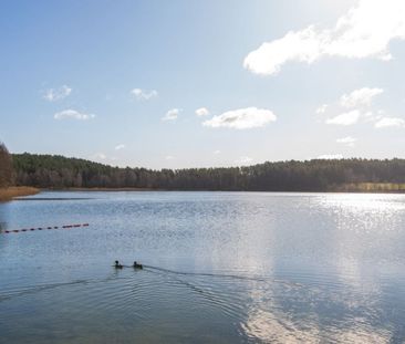 2 pok. Kanarkowa, Gutkowo, zwierzęta mile widziane 45 m² - Photo 5