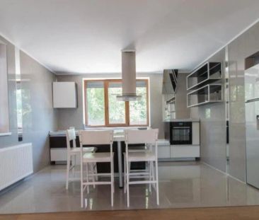 Zona Iancu Nicolae, vila duplex de inchiriat, 240 mp utili - Photo 2