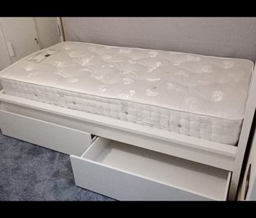 Room in a Shared House, Robey St, S4 - Photo 5