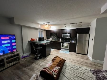 Cliff Bungalow Basement Unit – Open Layout, In-Unit Laundry, Prime Location - Photo 2
