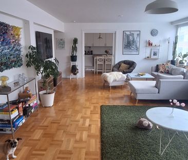 Holmgatan, Malmö - Foto 2