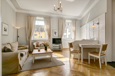 Bright 1-room apartment, Munich-Gärtnerplatzviertel - Photo 4