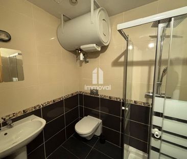 Location Appartement 1 pièce Meublé 21m² STRASBOURG 67000 - Photo 4