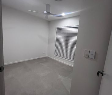 Palmview - Photo 6
