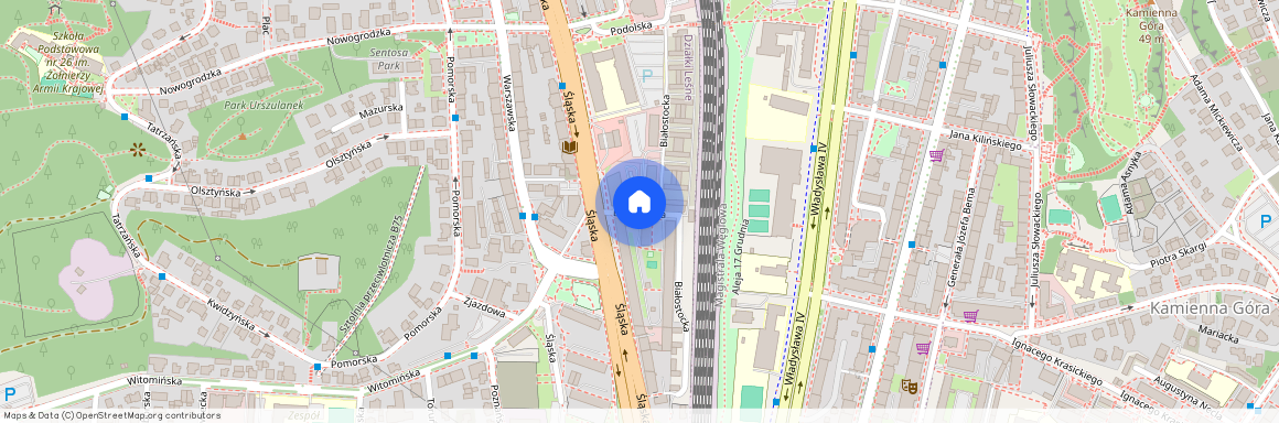 ul. Śląska, Działki Leśne, Gdynia, pomorskie