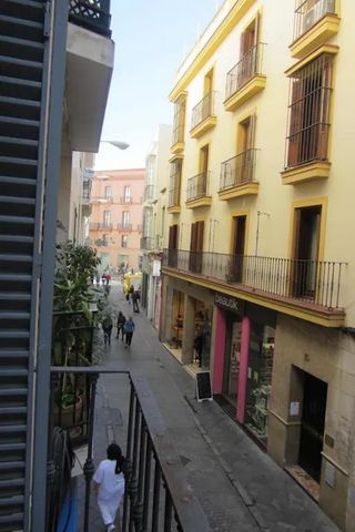 Calle ODonnell, Sevilla, Andalusia 41001 - Photo 4