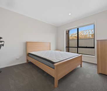 BRAND NEW SHARED ACCOMMODATION - Photo 3