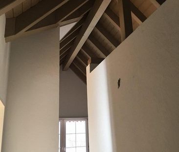 Hier wartet Ihr neues Zuhause - Foto 1