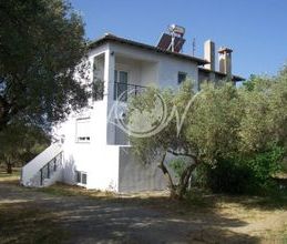 Μεζονέτα για ενοικίαση - Αλεξανδρούπολη, - Photo 6