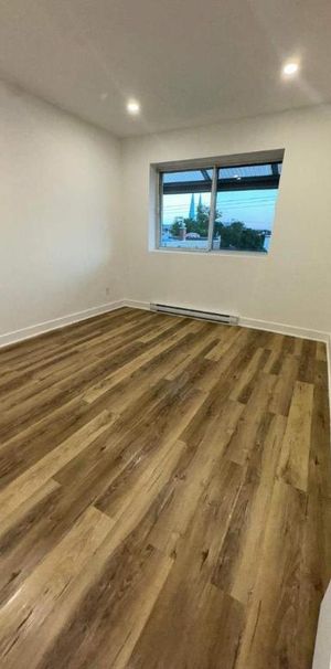 1 CH - 1 SDB - Montréal - $1,395 /mo - Photo 1