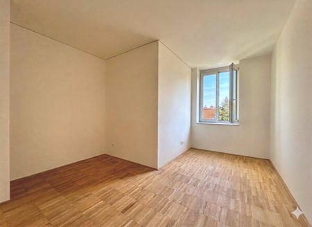 ERSTBEZUG | Außenflächen mit direktem Blick auf den Kahlenberg | vollausgestattete Küchen | Fußbodenheizung und Fußbodenkühlung - Photo 3