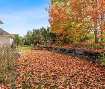 For Lease - 81 Lloydalex Crescent, Stittsville - Munster - Richmond... - Photo 1