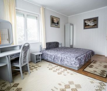 Normafa út - Photo 6