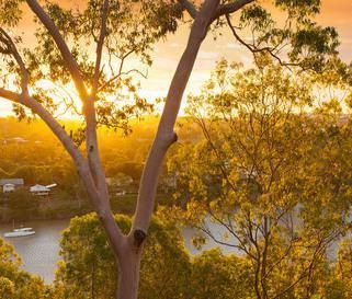 Magnificent Architecturally Designed Riverfront Home - Photo 3