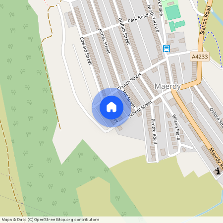 Miles Street, Maerdy, Ferndale, CF43