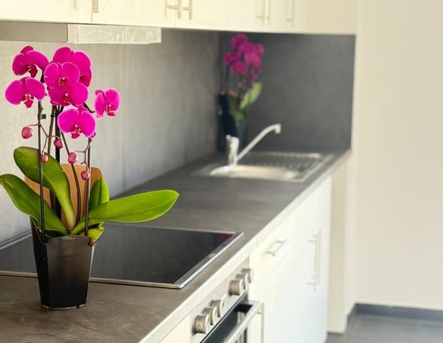 großzügige 2-Zimmer-Wohnung mit Terrasse im Herzen von Bad Malente - Foto 1