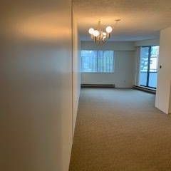 1 Bedroom Apartment in Kitsilano - 2 BLOCKS TO KITS BEACH - Photo 1