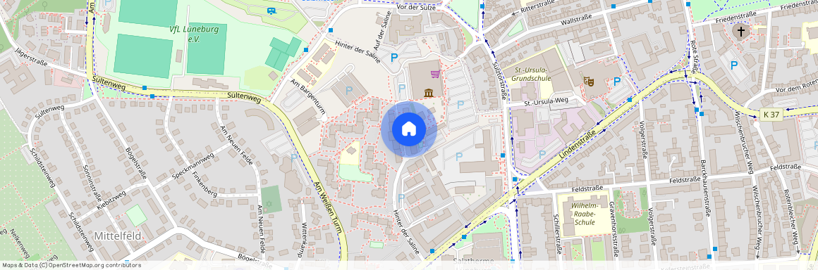 Hinter der Saline 10, 21339 Lüneburg