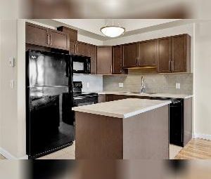 55+ Studio Apartment For Rent Griesbach Edmonton - Photo 3