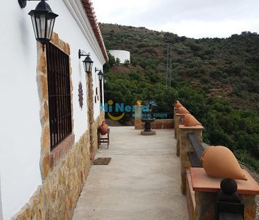 Rural House 3 bedrooms swimming pool parking Campo - Foto 3