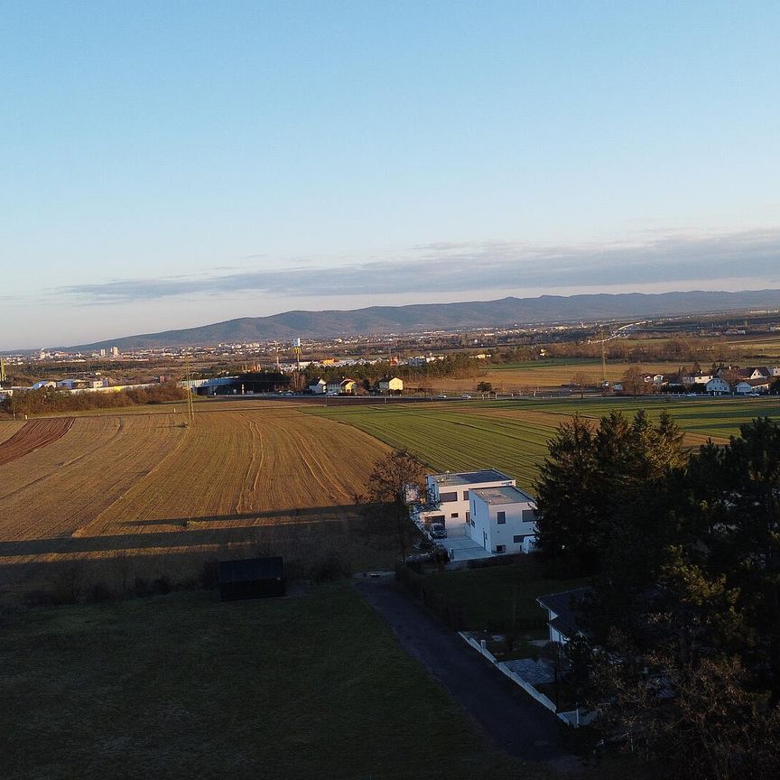 Goldsteinstraße, H2/1 - Photo 1