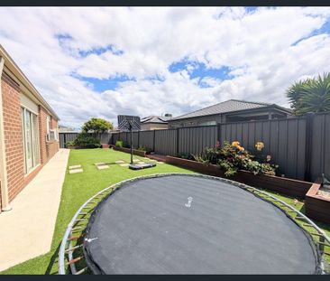 Fit For The Whole Family! - Photo 3