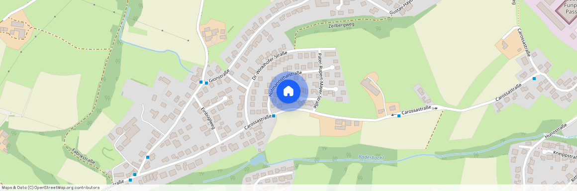 Carossastraße 52, 94036 Passau