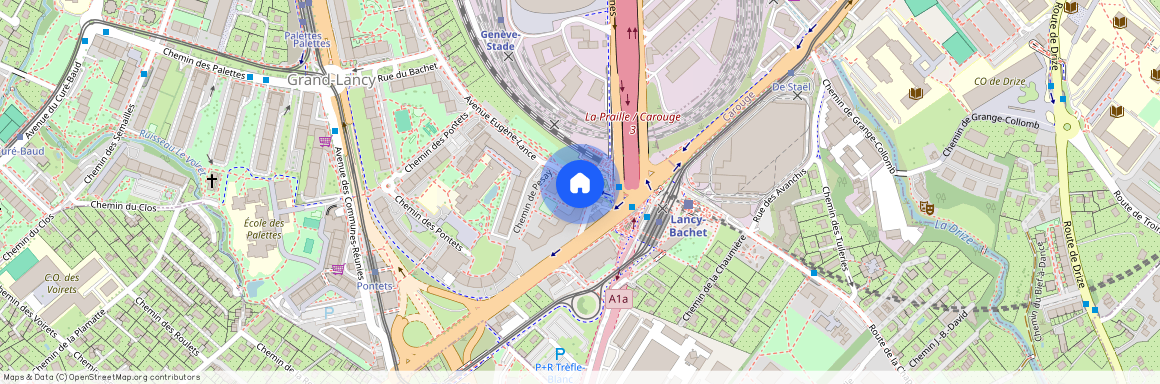 1212, Grand-Lancy, Avenue Eugène- Lance, 90