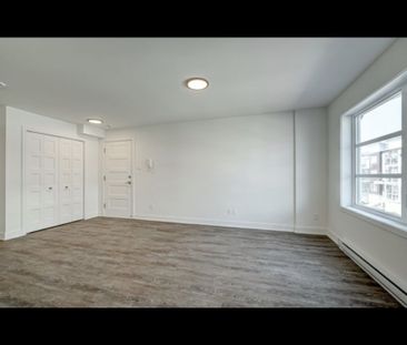 Appartement 4 1/2 à Louer, Animaux Permi - Photo 1