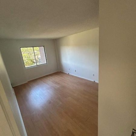 1 CH - 1 SDB - Côte Saint-Luc - $1,345 /mo - Photo 3