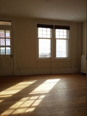 3 - 225 St. Patrick Street - Photo 1