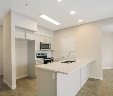 399 Stan Bailie — Padua - Photo 4