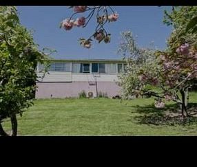 Cozy 2 Bed Home in Kakanui, Oamaru - Photo 3